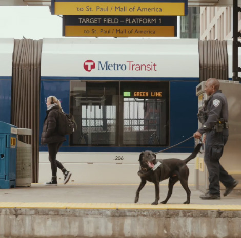 Canine officer patrolling a light rail platform.